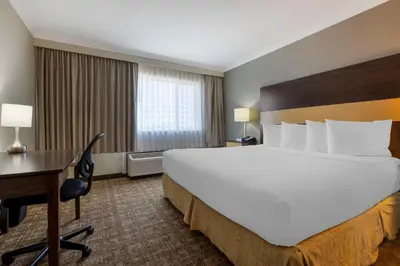 a hotel room with a large bed and a desk at Best Western Los Angeles Worldport Hotel in Wilmington