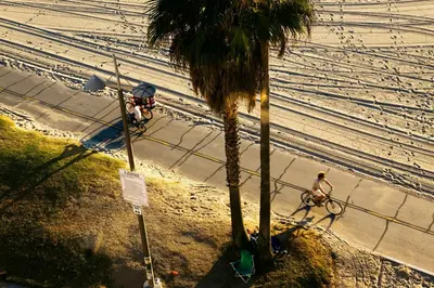 a man walking a bike next to a beach with a palm tree at Venice Suites in Los Angeles