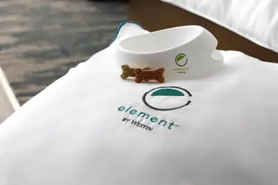 a teddy bear next to a cup on a bed at Element Anaheim Resort Convention Center in Anaheim