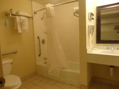 a bathroom with a shower and a toilet and a sink at Mikado Hotel in North Hollywood