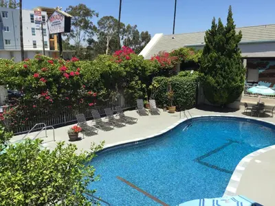 a swimming pool with chairs and plants and flowers at Mikado Hotel in North Hollywood