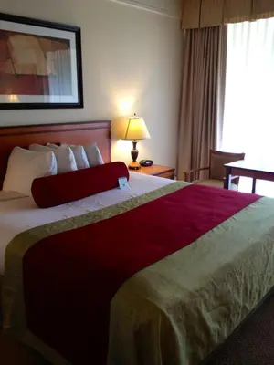 a hotel room with a large bed and a window at Mikado Hotel in North Hollywood
