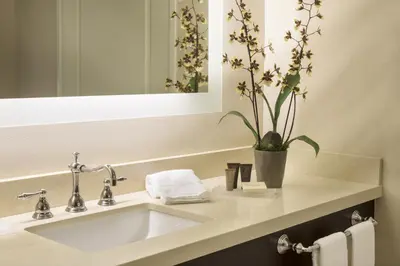 a bathroom with a sink with a potted plant on it at Ayres Hotel Orange in Anaheim