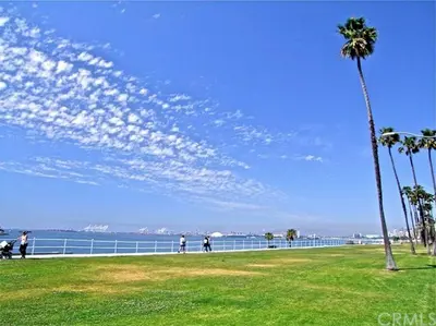 a palm tree in a park next to the ocean at Mid-Mod Retro Private Studio & Pool in Long Beach