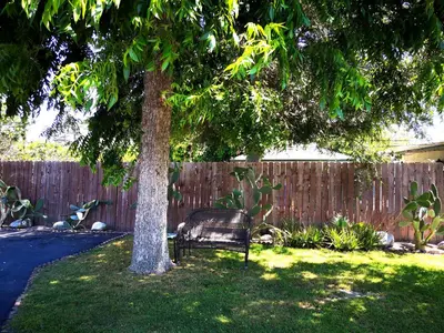 a bench sitting under a tree next to a fence at Pasadena single house 3b1b \u4e09\u623f\u4e00\u5385\u4e00\u53a8\u4e00\u6d74 in Pasadena