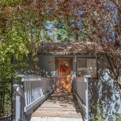 The Treehouse