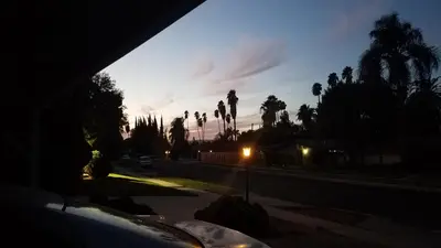 a view of a street with palm trees at night at Woodland Hills BEST Priced Room in Woodland Hills