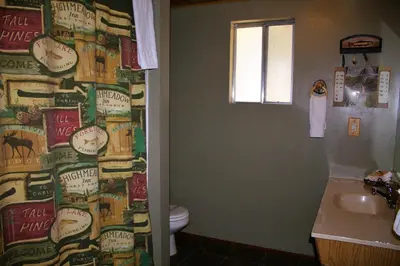 a bathroom with a toilet and a shower curtain at Goldmine Lodge in Big Bear Lake