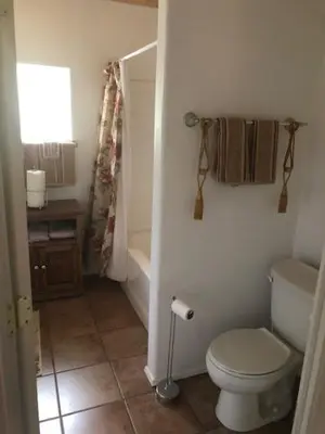 a bathroom with a white toilet and a shower at Sequoia National Forest CabinM in Panorama Heights
