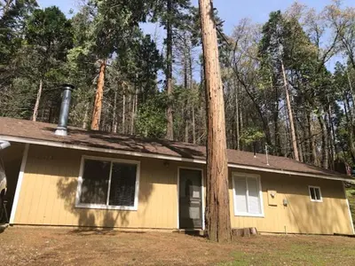 a house with a telephone pole next to a tree at Sequoia National Forest CabinM in Panorama Heights