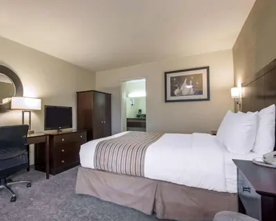 a hotel room with a large bed and a television at Rodeway Inn Convention Center in Los Angeles