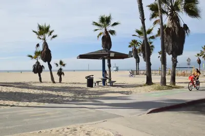 a person riding a bike on a beach with palm trees at Venice Beach Apartments Monthly rents in Los Angeles