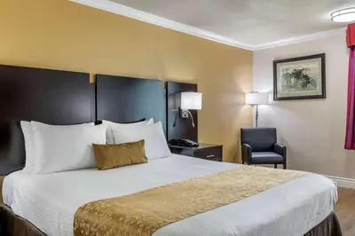 a hotel room with a large bed and a chair at Best Western Plus South Bay Hotel in Lawndale