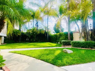 a garden with palm trees and a sidewalk at GREAT FOR BUSINESS & FAMILY TRIPS 3BD 2BA close to DESNEYLAND, FREE PARKING in Orange