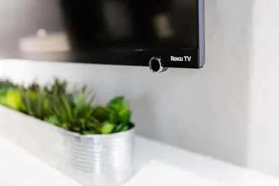 a television with a plant in a pot on a counter at Long Beach Duplex King Bed Pet Friendly Nurses Surgeon Business Travelers Near St Marys Medical Center & Downtown in Long Beach