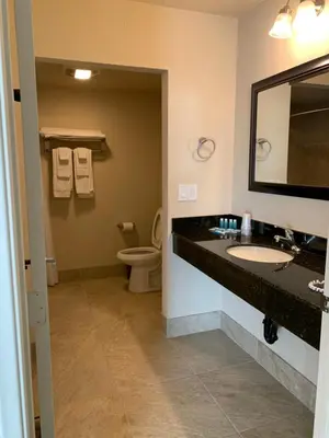 a bathroom with a sink and a toilet and a mirror at Apple Valley Hotel & Lodge in Apple Valley