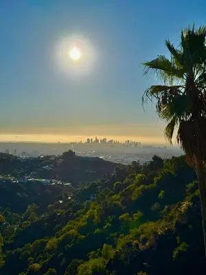 a palm tree and a view of the city at HOLLYWOOD HILLS JETLINER VIEWS at STUDIO 1080 HOLLYWOOD in Los Angeles