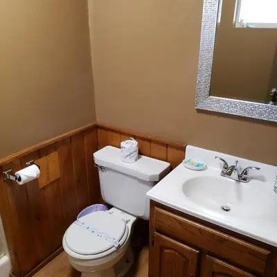 a bathroom with a toilet and a sink at Grey Squirrel Resort in Big Bear Lake