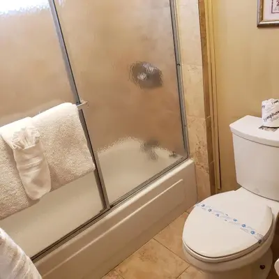 a bathroom with a shower with a toilet at Grey Squirrel Resort in Big Bear Lake