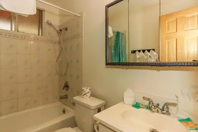 a bathroom with a toilet and a sink and a shower at Shasta Mountain Cabin - 1916 by Big Bear Vacations in Big Bear City