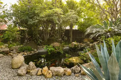a garden with a pond and rocks and trees at Beautiful airy architect-designed room and brand new private luxe bathroom in Los Angeles