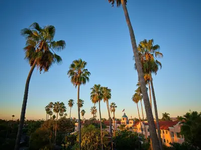 a group of palm trees in front of a building at The Beverly Hills Hotel - Dorchester Collection in Los Angeles