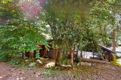 a small house in the middle of some trees at Wooded Comfort in Lake Arrowhead