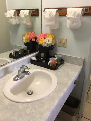 a bathroom counter with a sink and flowers on it at OceanView Motel in Huntington Beach
