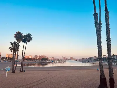 a beach with palm trees and a body of water at Foghorn Harbor Inn in Los Angeles