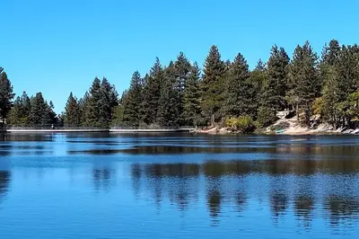 a large body of water with trees in the background at Snow Bunny Cottage, Pets Welcomed! in Green Valley Lake