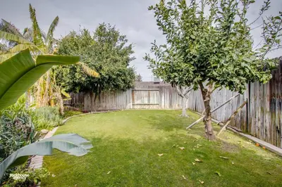 a backyard with a fence and a tree at Cozy Hygge Home Centrally Located 2 King Beds in Bakersfield