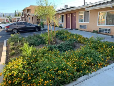 a garden with yellow flowers in front of a building at Desert Inn Motel in Corona