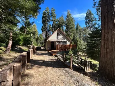 a small cabin in the middle of a forest at Sequoia National Forest Cabin-ATV Ride in Panorama Heights