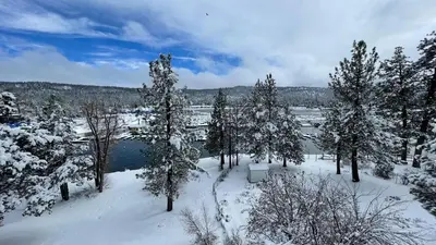 a group of trees in the snow next to a lake at Lakefront Lodge by AvantStay Direct Access to Big Bear Lake Hot Tub Views in Big Bear Lake