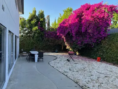 a garden with pink flowers on a hedge and a sidewalk at Modern spacious home close to Universal studio & Hollywood for 11 in Los Angeles