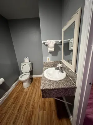 a bathroom with a sink and a toilet and a mirror at BELL RESORT MOTEL in Bell