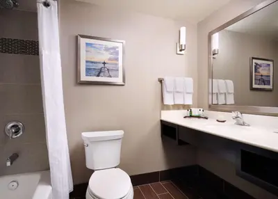 a bathroom with a toilet and a sink and a mirror at Hilton Garden Inn Los Angeles/Redondo Beach in Redondo Beach