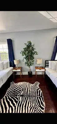 a zebra print rug in a living room with two couches at Hollywood house with parking - walk to attractions in Los Angeles