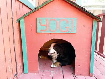 a dog laying inside of a dog house at ITH Big Bear Lake Hostel & Lodge in Big Bear Lake