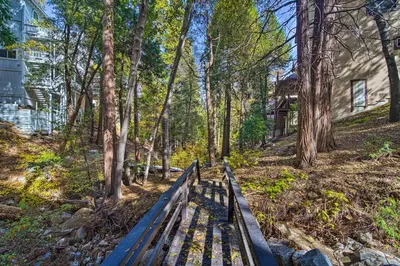 a wooden bench in the middle of a forest at Pet-Friendly Retreat with Game Room and Fire Pit! in Lake Arrowhead