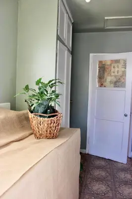 a potted plant sitting on top of a couch at The Hi Point Estate in Los Angeles