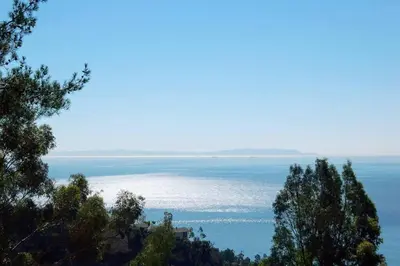 a view of the ocean from behind some trees at Malibu Secluded Escape Ocean View Zen House in Malibu