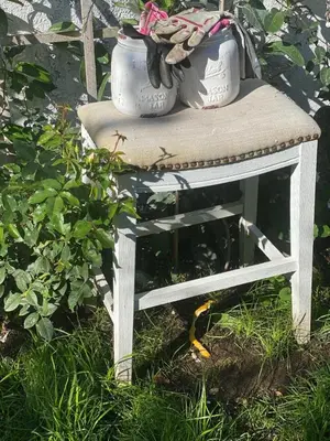 two potted plants sitting on top of a bench at Elegant White Cottage, Venice Beach, California in Los Angeles