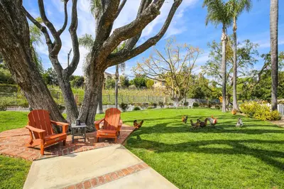 three chairs and some pigeons in a yard at Stunning Home in Orange County with Stables! in Orange